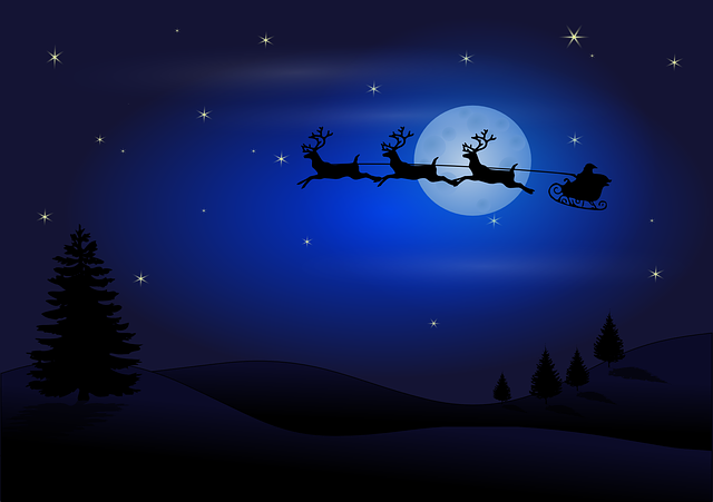 Kerstwens NNVO